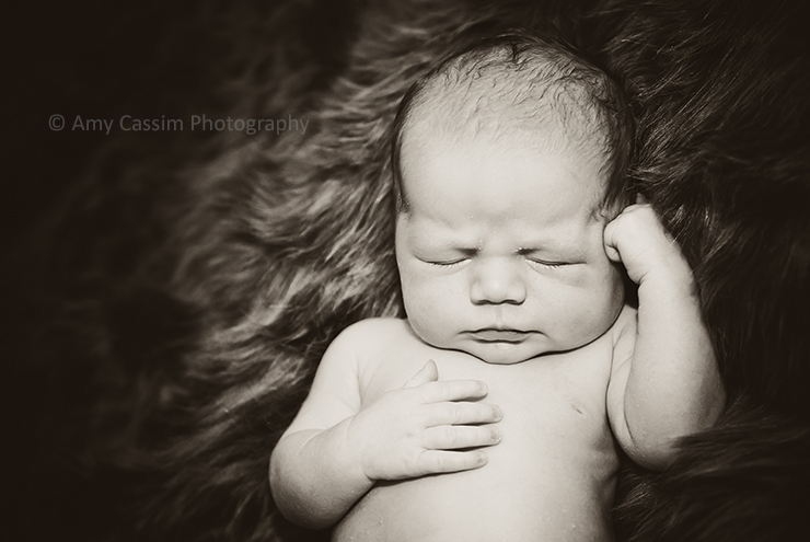 Amy Cassim Photography | Newborns
